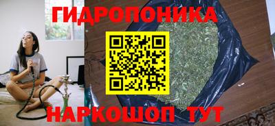 индика Аша