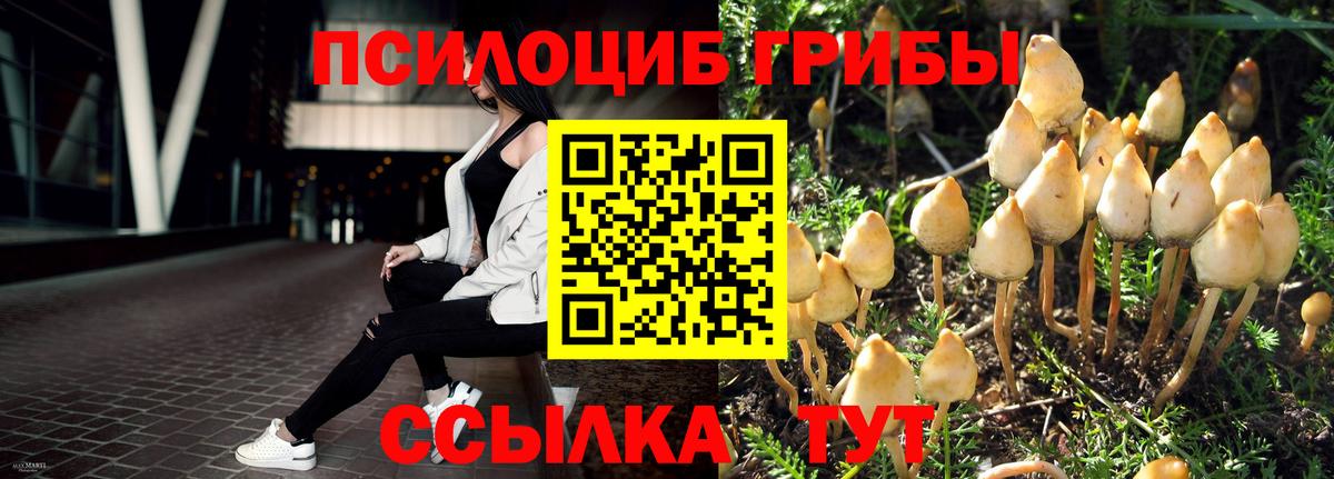 Галлюциногенные грибы ЛСД  Вход с VPN  Благодарный  Псилоцибиновые грибы мухоморы 